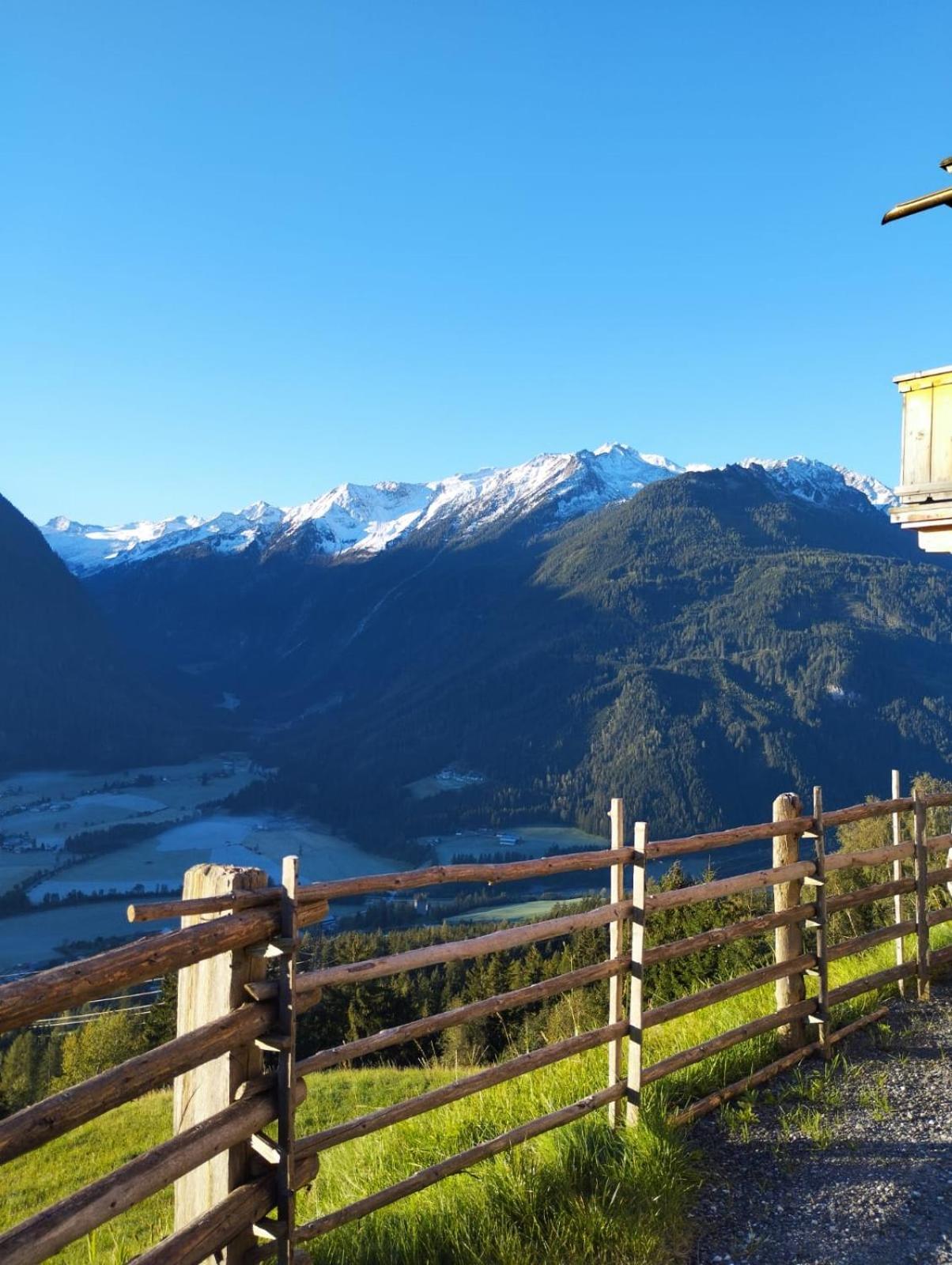 Landhaus Celina - Panoramastall Rossberg Нойкирхен-ам-Гросфенедигер Экстерьер фото